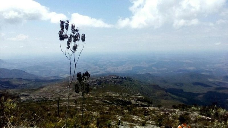 The last push to the summit