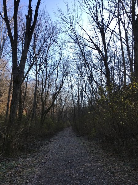 View up the Doubletrack up the hill