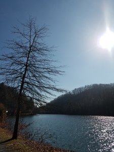 Scenery