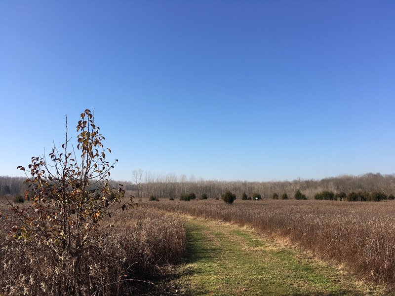 View across the Prairie