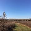 View across the Prairie