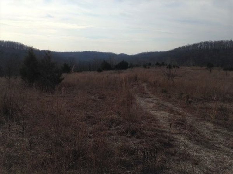 A glade at the top of Cedar Gap.