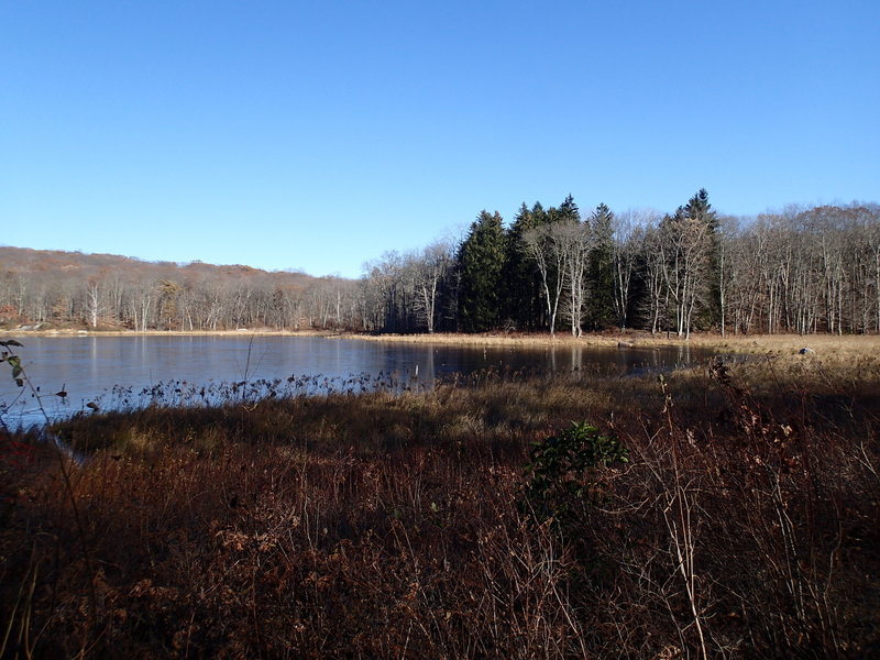 View of Misty Pond