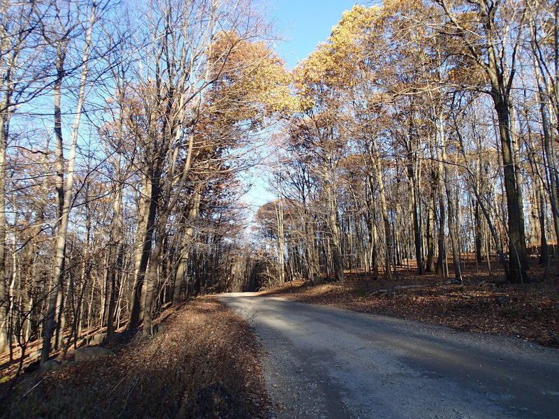 Split Rock Trail crosses Split Rock Road