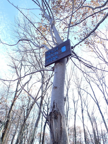 Watch for this sign to exit the powerline when traveling south