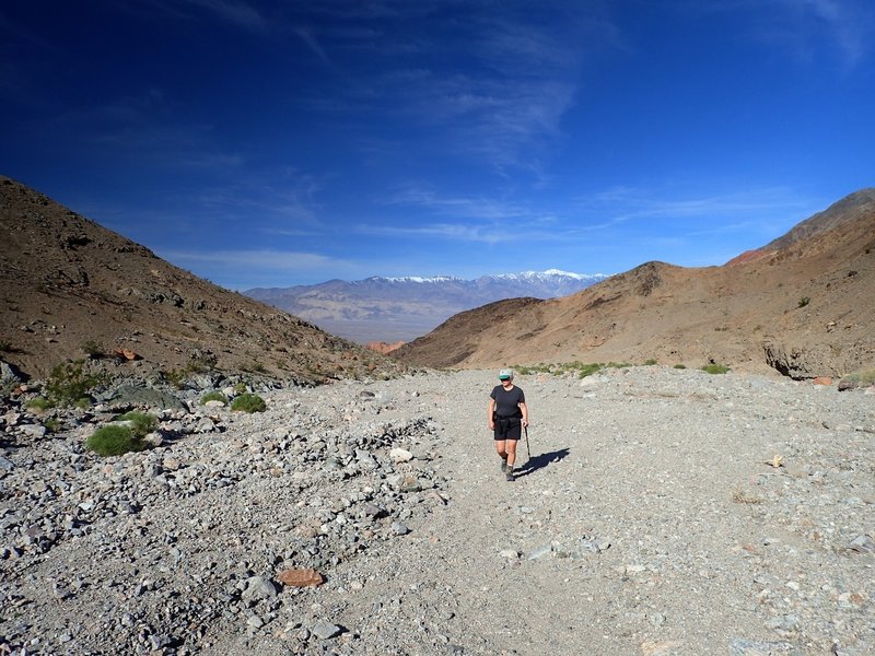 Crossing the wash shortly after leaving the trailhead