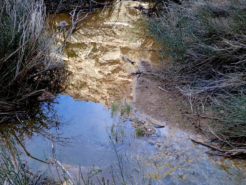 Open water at the base of the main falls