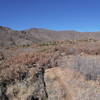 Approach to Rendija Ridge (rocky outcrop on the left) looking west. Hills form the headwaters of Rendija canyon on the right.