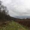 Margin of the doubletrack looking over the meadow and towards the hills bounding Elk Creek