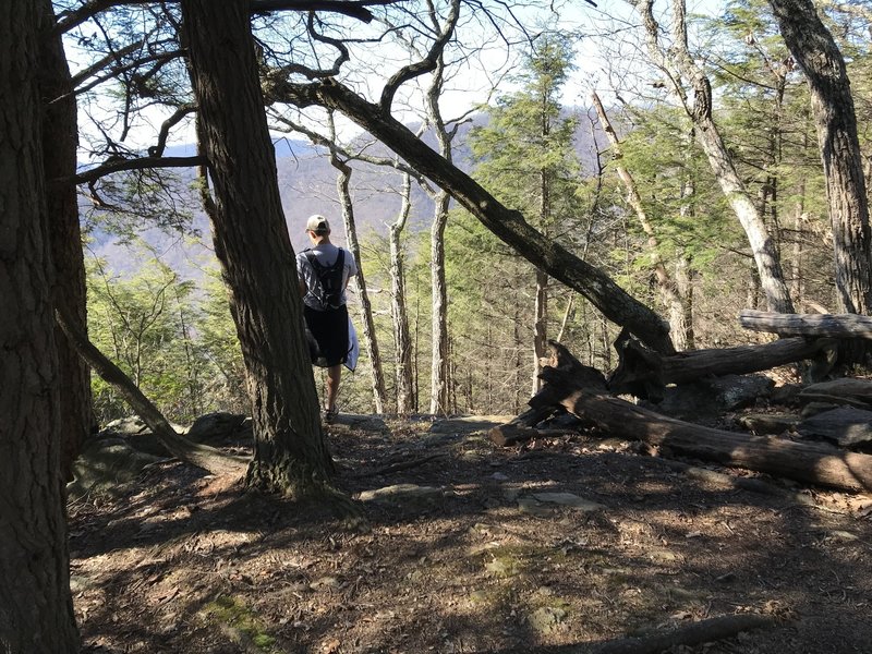 A nice view from Rock Knob