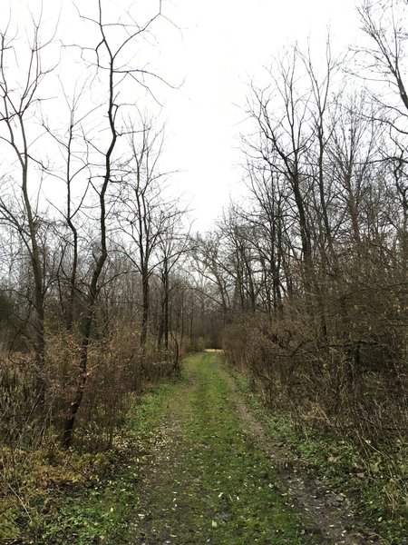 Mown Grass Doubletrack on the Highlands Trail