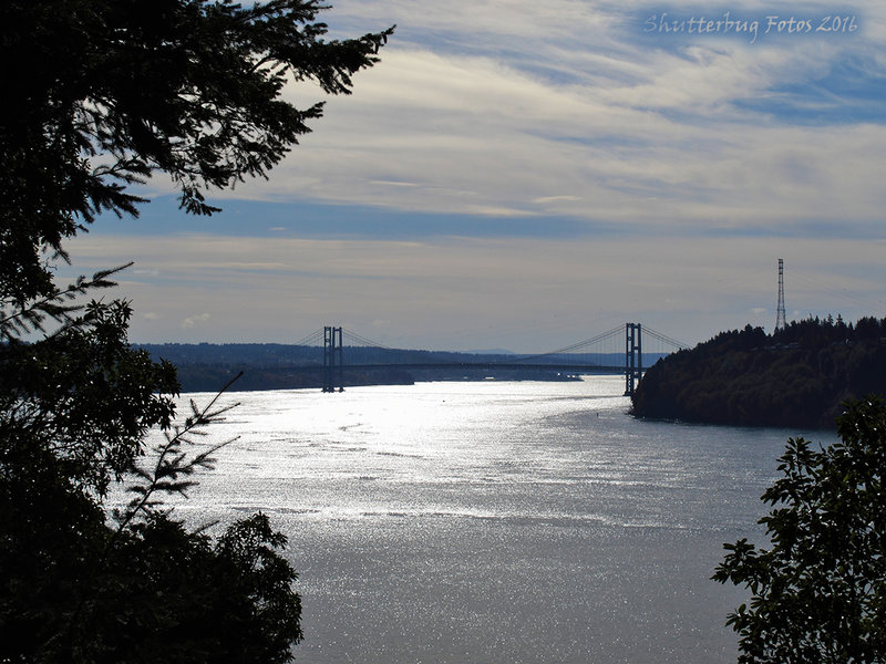 Tacoma Narrows Bridge