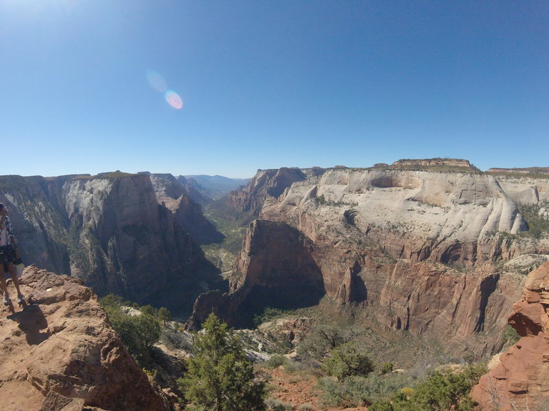 Observation Point - Zion National Park