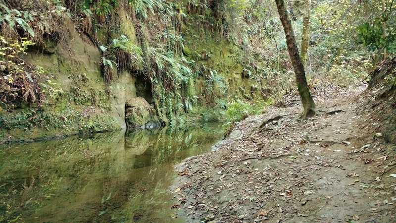 Aptos Creek near the beginning of Aptos Rancho Trail