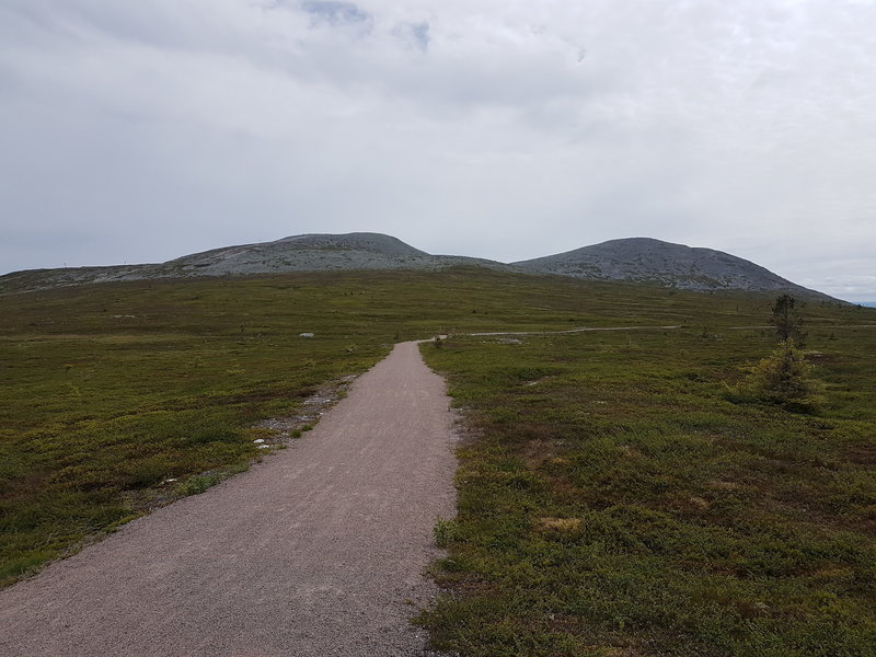 View of the trail, with the mountain we are circling in the background.