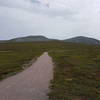 View of the trail, with the mountain we are circling in the background.