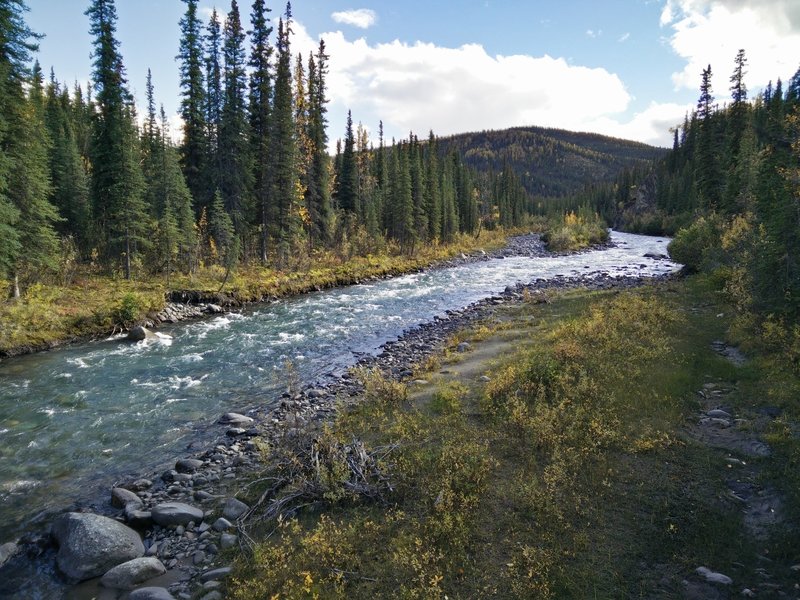 Denali National Park