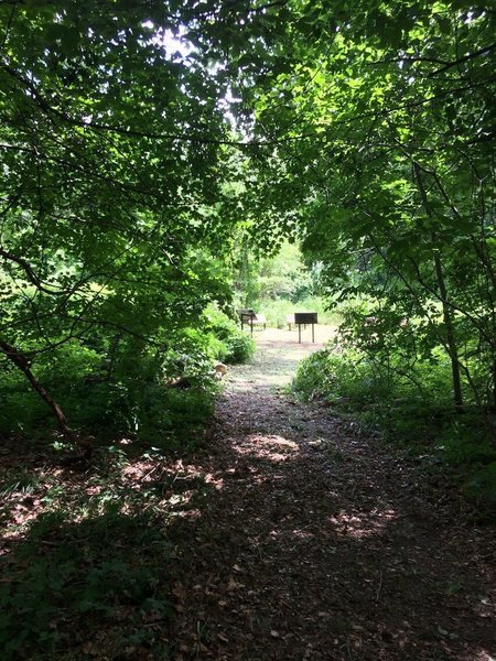 Leading to the Butterfly Gardens