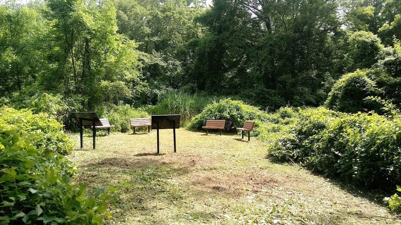 The second butterfly garden.