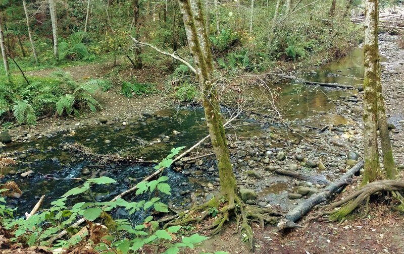 Aptos Creek crossing on Vienna Woods Trail