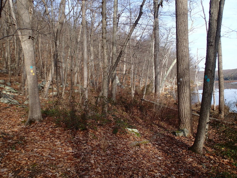 Trail junction at Beaver Pond