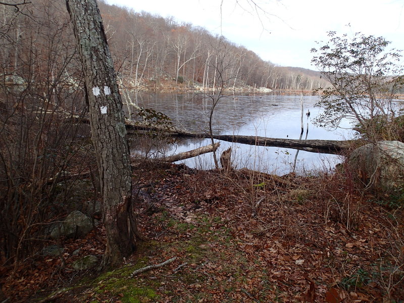 Clinton West trail end at the beaver dam