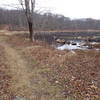 Beaver Pond