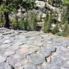 Top of Devils Postpile