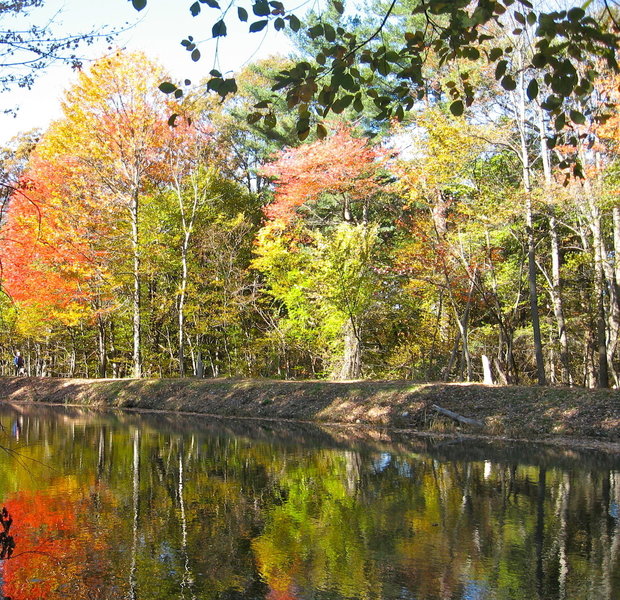 Fall Colors at Mine Falls