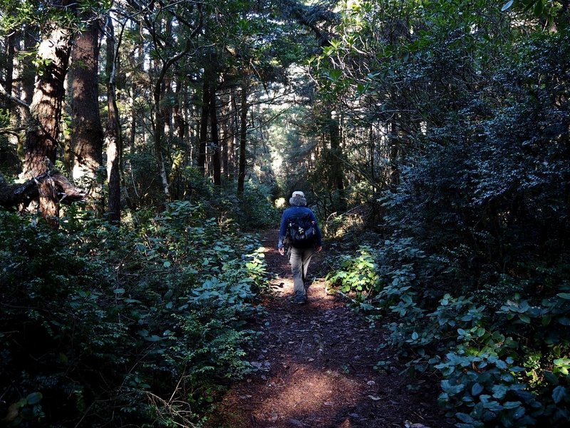 Along the connector trail