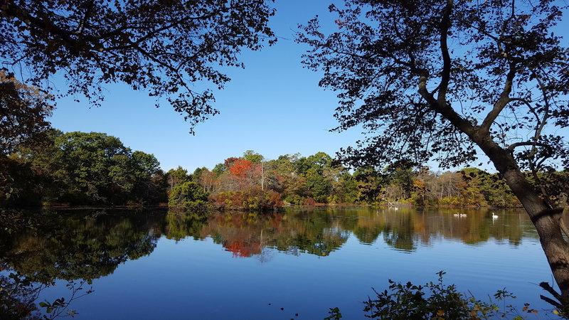 Fall scenery at West Pond