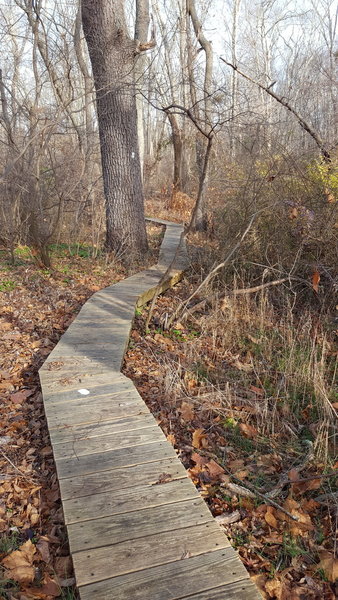 Thanks to the Boy Scouts for all the bridges.  Good Job!!