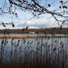 Took so many pics on the Nissequogue River!