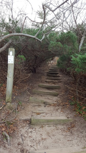 Nissequogue River State Park