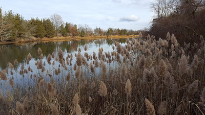We are literally feet from the END at Sunken Meadow State Park!