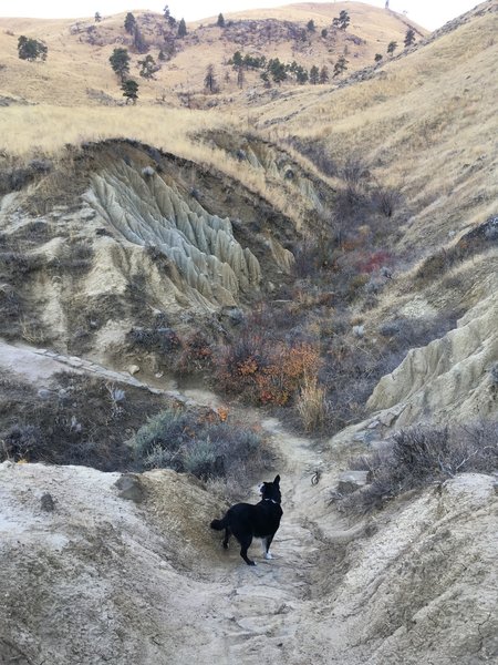 Rock formations tucked into Sage Hills