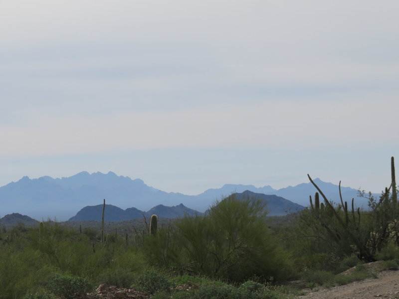 Ajo Mountain range