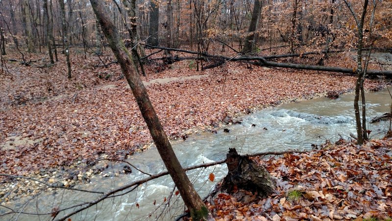 Impassable creek!