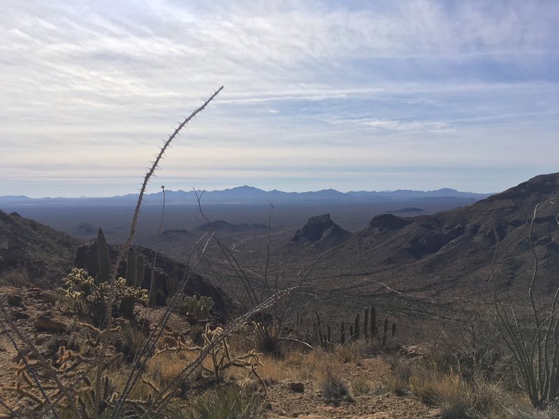 View toward Sonoyta, Mexico