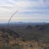 View toward Sonoyta, Mexico