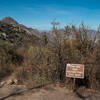 Pine Loop Trail - Halfway Point