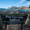 Pine Tree Trail - Trailhead