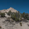 Slot Canyon Trail