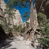 Slot Canyon Trail