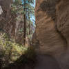 Slot Canyon Trail