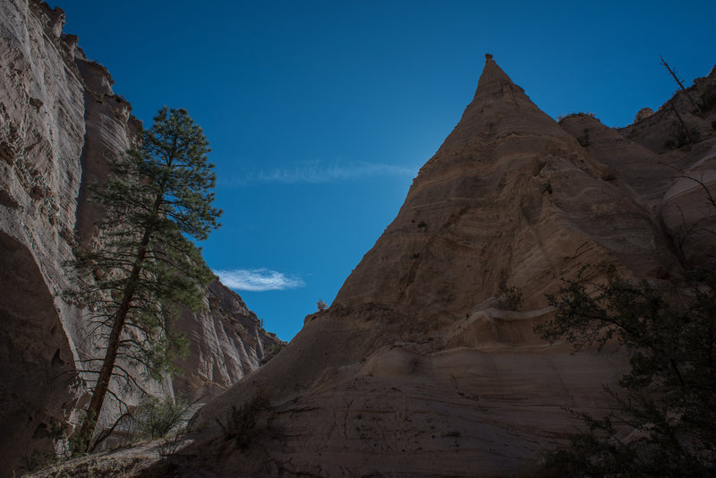 Slot Canyon Trail