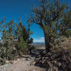 Slot Canyon Trail