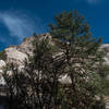 Slot Canyon Trail