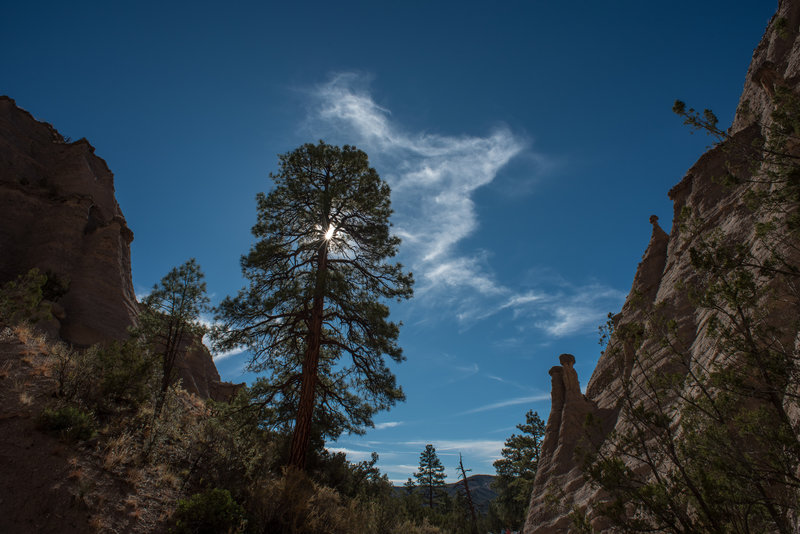 Slot Canyon Trail