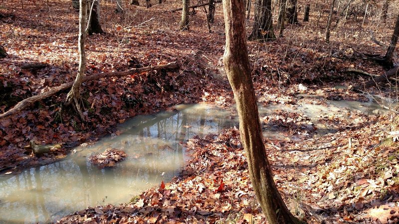 Creek crossing